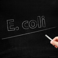 Things to Know About E. Coli Infections and UTI