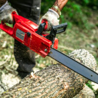 5 Best Chainsaw Brands You Should Buy