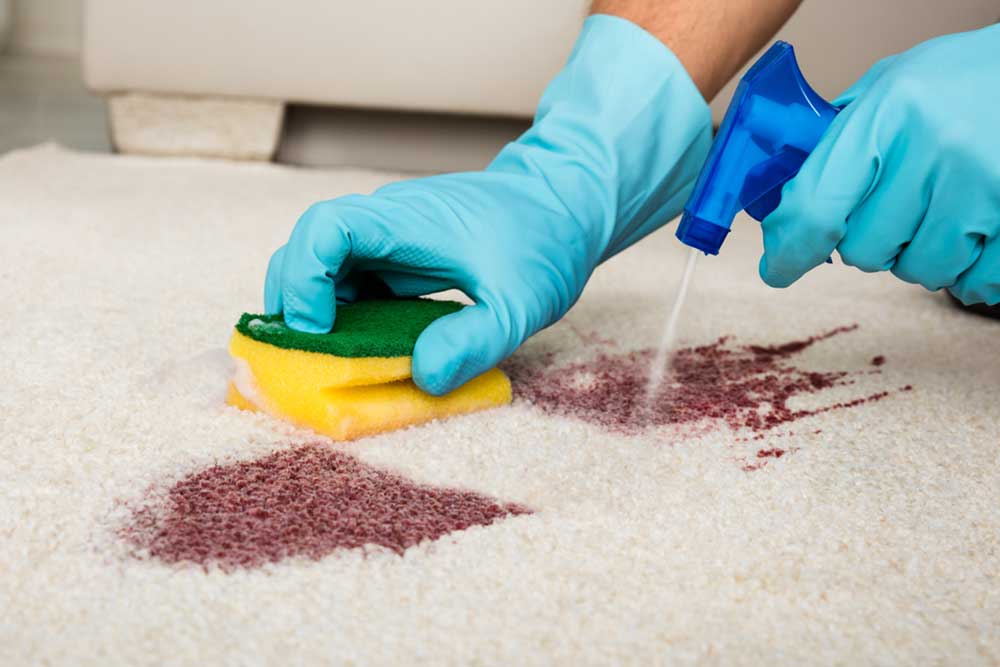 5 Popular Carpet Stain Removers to Choose From