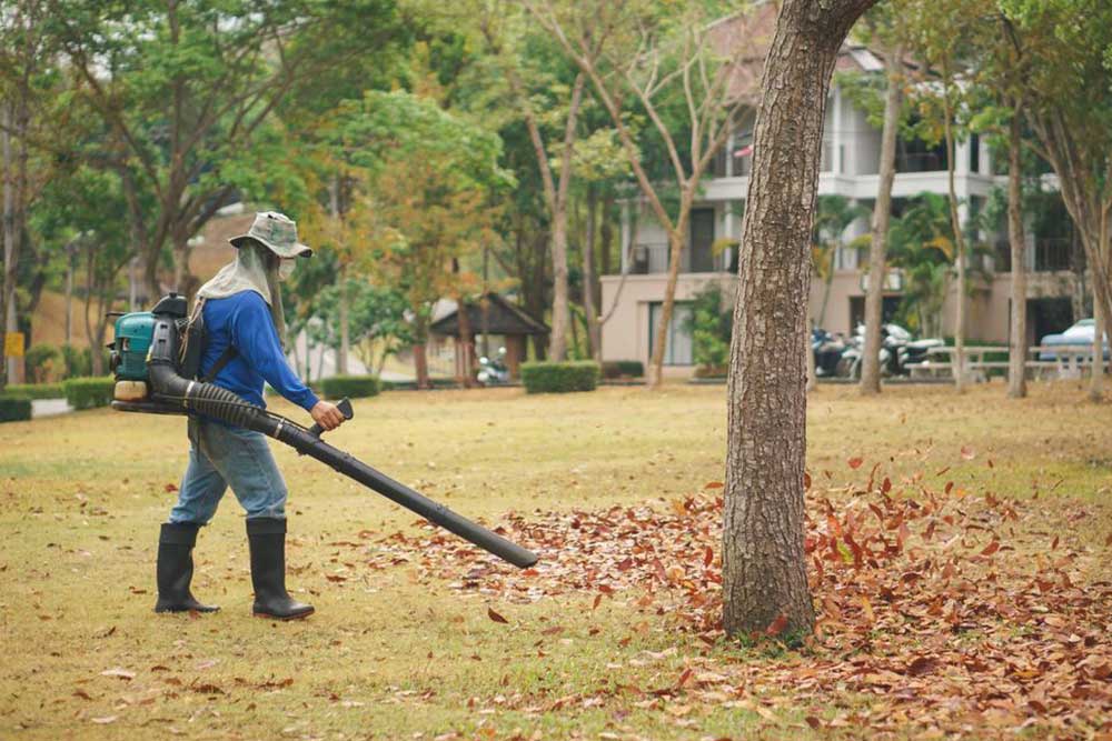 3 Popular Leaf Blowers to Choose From