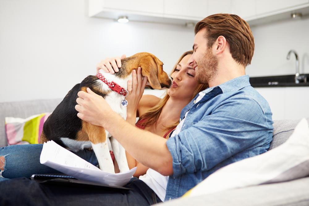 Benefits of availing a pet insurance