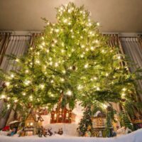 Best Deals on Prelit Christmas Trees