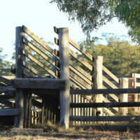 Here&#8217;s what you need to know about yard ramps