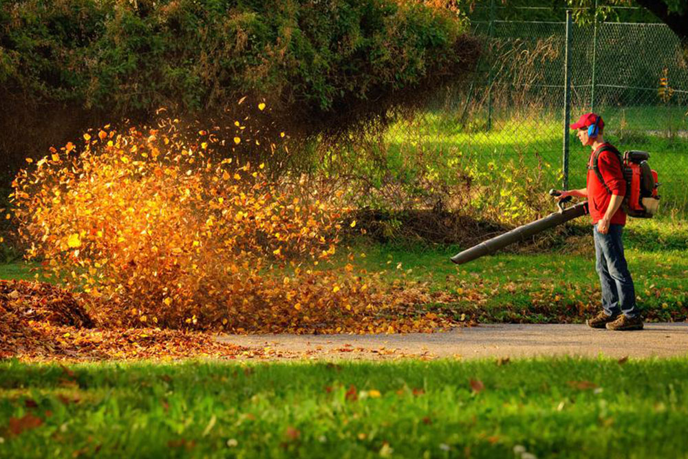 Planning on buying a leaf blower? Here&#8217;s what you need to know