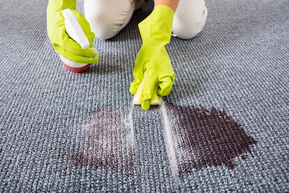 The Best Carpet Stain Removers You Must Know About