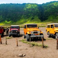 Top 4 Jeeps for Sale