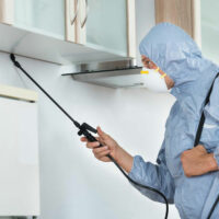 Top 4 local pest control companies