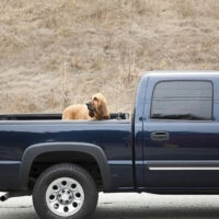 Types of truck bed covers