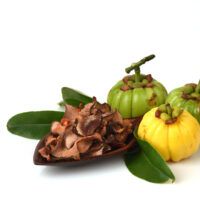 4 Uses Of Garcinia Cambogia