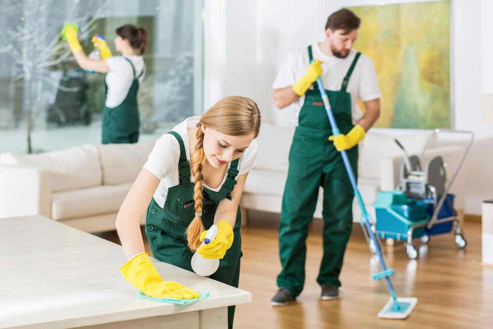 Choose from a plethora of cleaning services