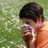 Simple Steps to Understand Symptoms and Treatments of Mold Allergies