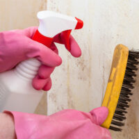 Easy Ways to Get Rid of Black Mold