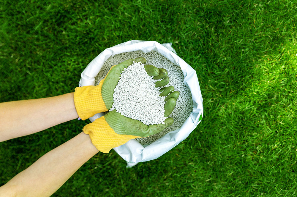 A Complete Guide to Lawn Fertilization